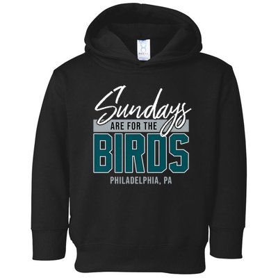 Sundays Are For The Birds Football Philadelphia Toddler Hoodie