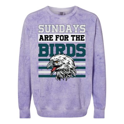 Sundays Are For The Birds It's A Philly Thing Philadelphia Football Colorblast Crewneck Sweatshirt