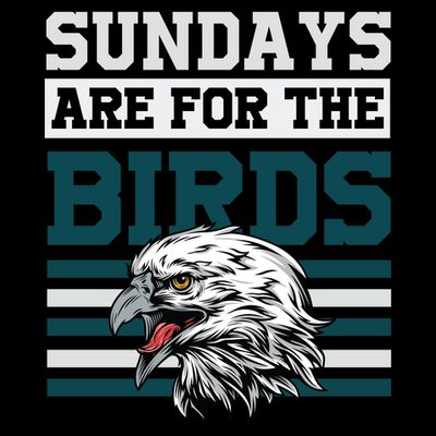 Sundays Are For The Birds It's A Philly Thing Philadelphia Football T-Shirt