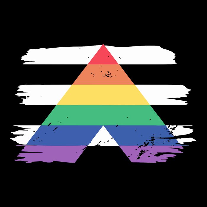 Straight Ally Flag Ally Lgbtq Lgbt Pride Month Mug