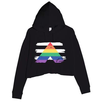 Straight Ally Flag Ally Lgbtq Lgbt Pride Month Crop Fleece Hoodie