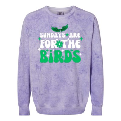 Sundays Are For The Birds For Philadelphia Football Fans Females Colorblast Crewneck Sweatshirt