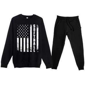 Softball American Flag Usa Sport Patriotic Softball Player Funny Gift Premium Crewneck Sweatsuit Set