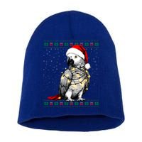 Santa African Grey Parrot Bird Ugly Christmas Gift Short Acrylic Beanie