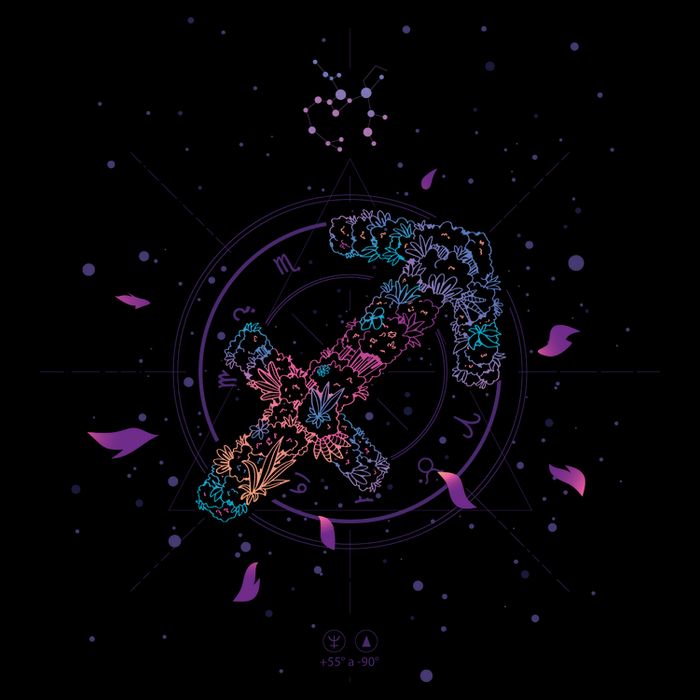 Sagittarius Floral Zodiac T-Shirt
