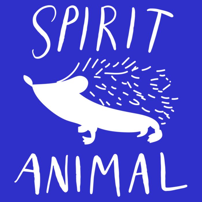 Spirit Animal Hedgehog Gift Funny Gift 16 in Basic Backpack