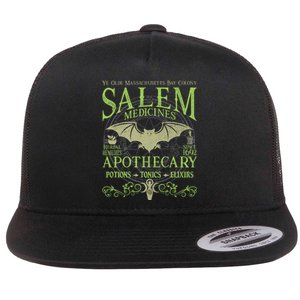 Salem Apothecary Herbalist Witch Wiccan Green Bat Flat Bill Trucker Hat