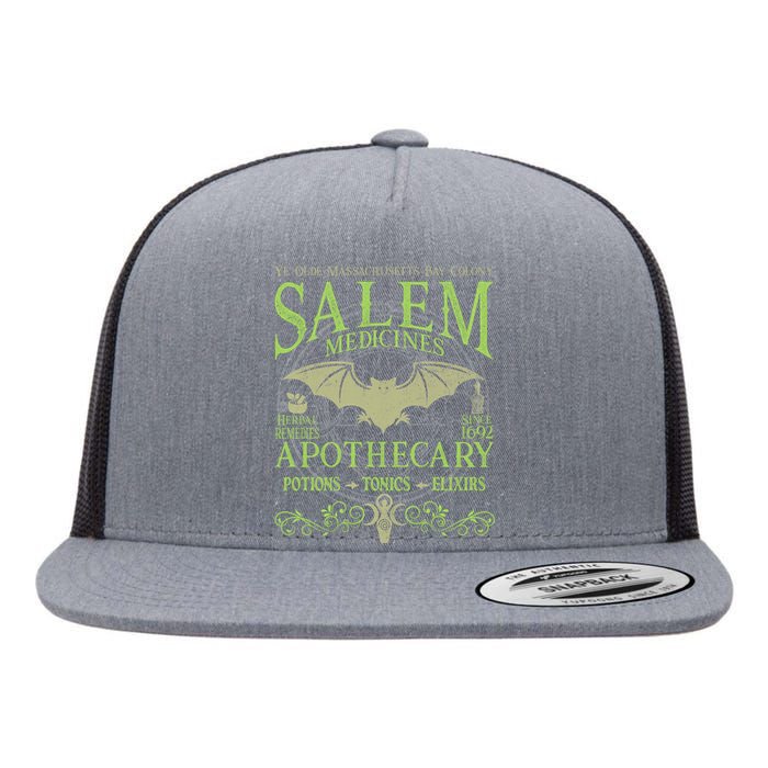 Salem Apothecary Herbalist Witch Wiccan Green Bat Flat Bill Trucker Hat