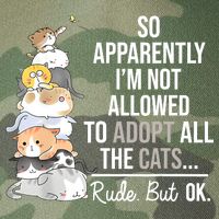 So Apparently Im Not Allowed To Adopt All The Cats Funny Legacy Tie Dye Trucker Hat