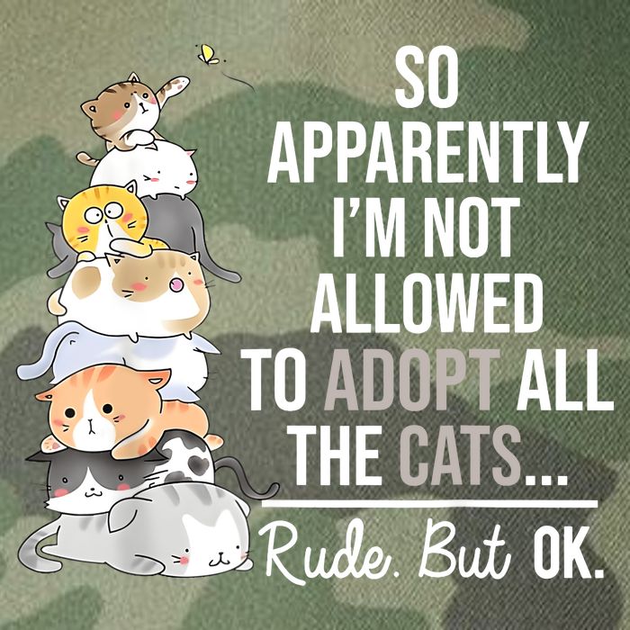 So Apparently Im Not Allowed To Adopt All The Cats Funny Legacy Tie Dye Trucker Hat