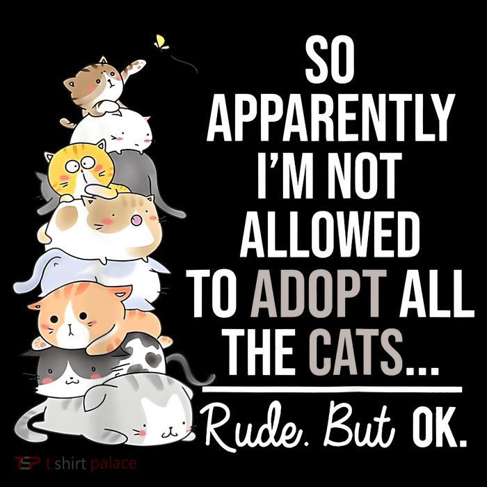 So Apparently Im Not Allowed To Adopt All The Cats Funny City Backpack