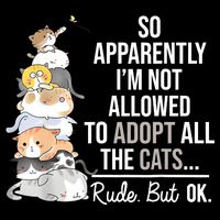 So Apparently Im Not Allowed To Adopt All The Cats Funny 7-Panel Snapback Hat