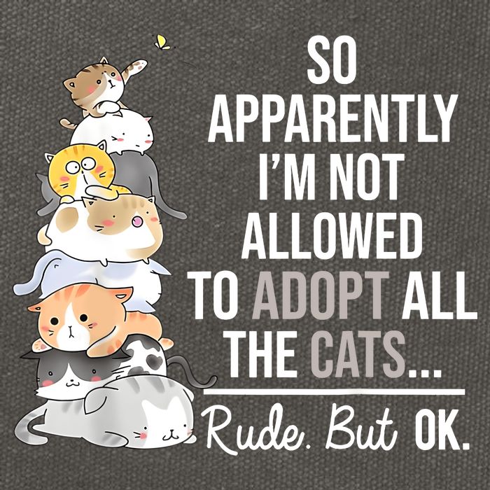 So Apparently Im Not Allowed To Adopt All The Cats Funny Cotton Canvas Backpack