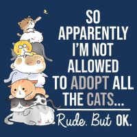 So Apparently Im Not Allowed To Adopt All The Cats Funny Infant Baby Jersey Bodysuit