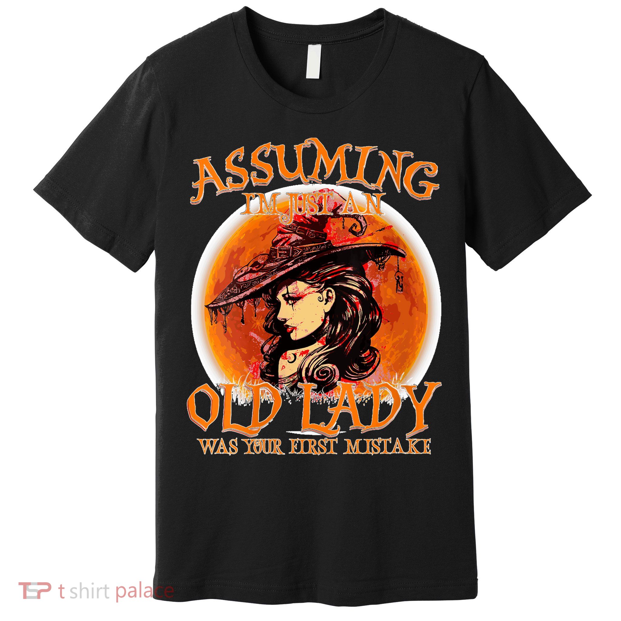 S Assuming IM Just An Old Lady Was Your First Mistake V Neck Premium T-Shirt