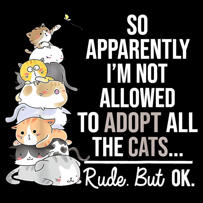 So Apparently I'm Not Allowed To Adopt All The Cats Funny 16 in Basic Backpack