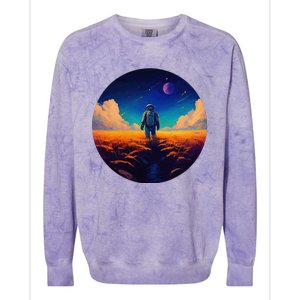 Stargazing Astronaut In Wheat Field Cosmos Colorblast Crewneck Sweatshirt