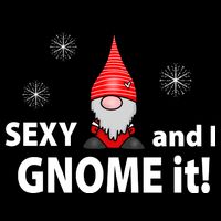 Sexy And I Gnome It T-Shirt