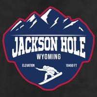 Ski At Jackson Hole Wyoming Adult Drive Performance Visor