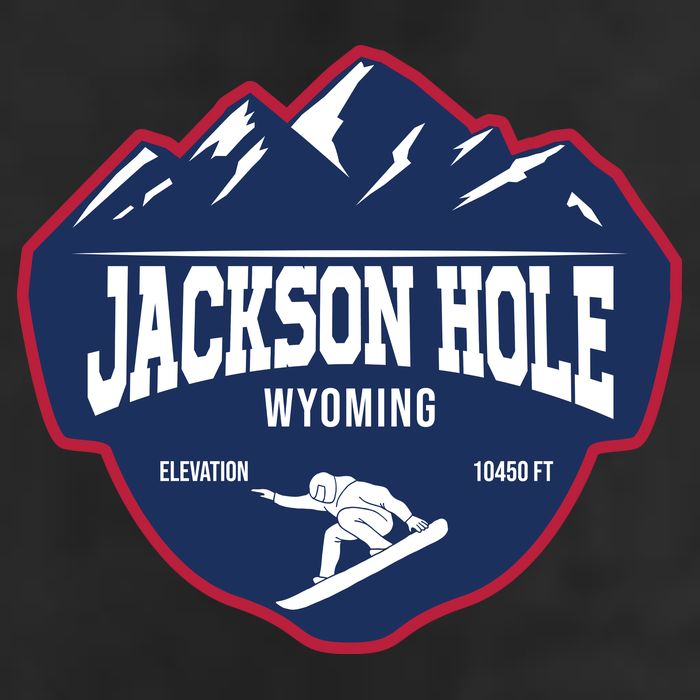 Ski At Jackson Hole Wyoming Adult Drive Performance Visor