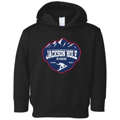 Ski At Jackson Hole Wyoming Toddler Hoodie