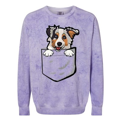 S Adorable Little Australian Shepherd Dog In The Pocket Vneck Colorblast Crewneck Sweatshirt