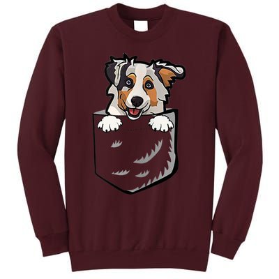 S Adorable Little Australian Shepherd Dog In The Pocket Vneck Tall Sweatshirt