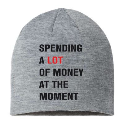 Spending A Lot Of Money At The Moment Sustainable Beanie