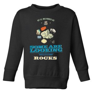 Some Are Looking For Cool Rocks Geologist Toddler Sweatshirt