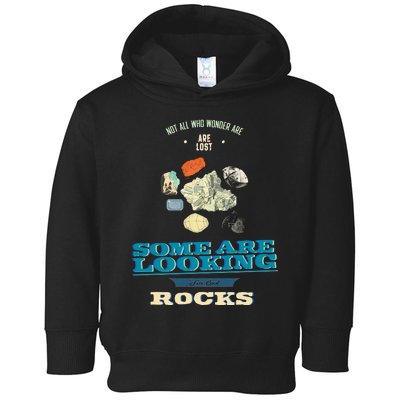 Some Are Looking For Cool Rocks Geologist Toddler Hoodie