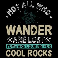 Some Are Looking For Cool Rocks Geologist Geode Hunter Magnet