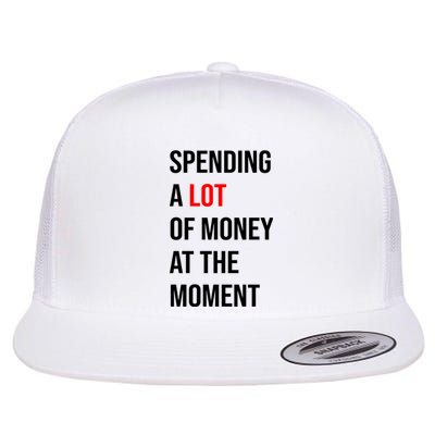 Spending A Lot Of Money At The Moment Flat Bill Trucker Hat