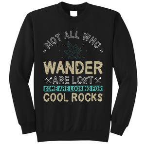 Some Are Looking For Cool Rocks Geologist Geode Hunter Sweatshirt