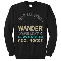 Some Are Looking For Cool Rocks Geologist Geode Hunter Tall Sweatshirt