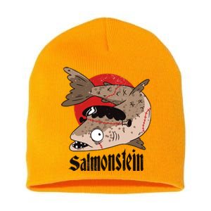 Salmonstein Short Acrylic Beanie