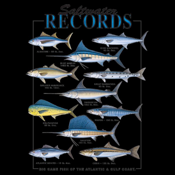 Saltwater Records Fish Of The Atlantic & Gulf Coast sailfish Doggie Tank
