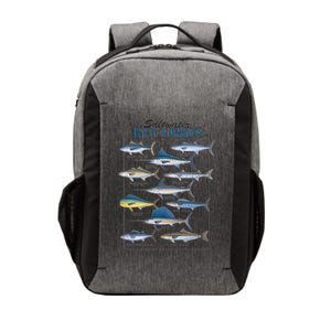 Saltwater Records Fish Of The Atlantic & Gulf Coast sailfish Vector Backpack