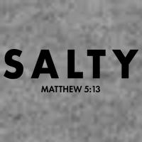 Salty Matttew 5:13 7-Panel Snapback Hat
