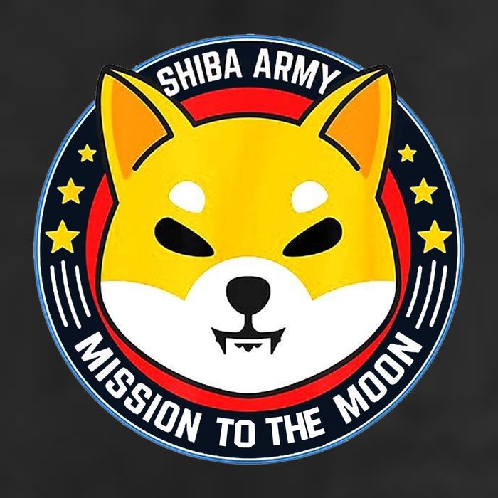 Shiba Army Mission To The Moon Hat