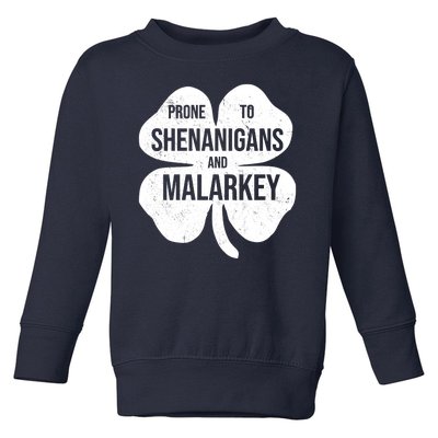 Shenanigans And Malarkey Funny St Patrick's Day Toddler Sweatshirt