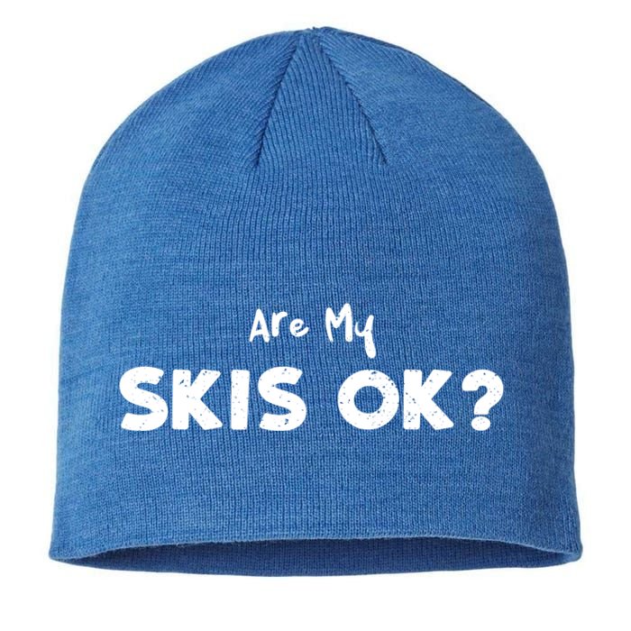 Snowboard: Are My Skis Ok? Skiing Sayings Gift Sustainable Beanie