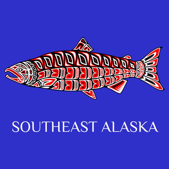 Southeast Alaska Nw Native American Indian Coho Salmon Gift Women's V-Neck T-Shirt