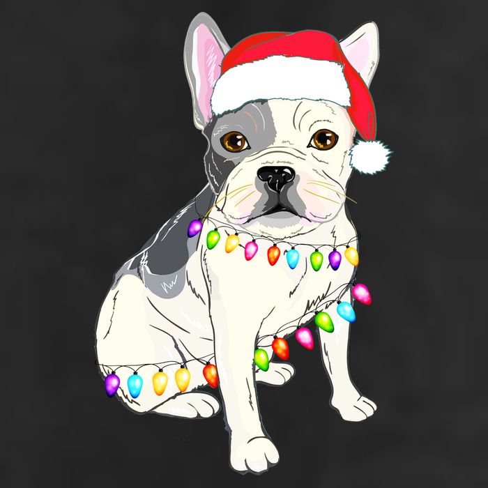 Santa Bulldog Christmas Lights Hat