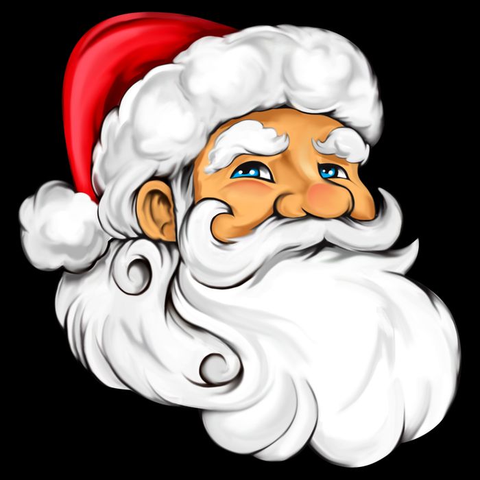 Santa Claus Head Wool Snapback Cap