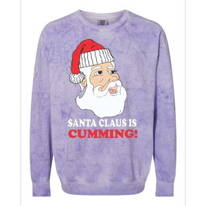 Santa Claus Is Cumming Dirty Humor Colorblast Crewneck Sweatshirt