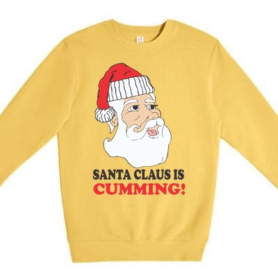 Santa Claus Is Cumming Dirty Humor Premium Crewneck Sweatshirt