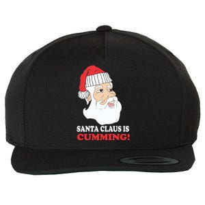 Santa Claus Is Cumming Dirty Humor Wool Snapback Cap