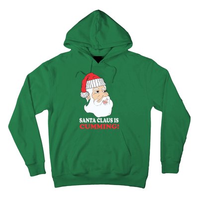 Santa Claus Is Cumming Dirty Humor Hoodie