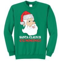 Santa Claus Is Cumming Dirty Humor Sweatshirt