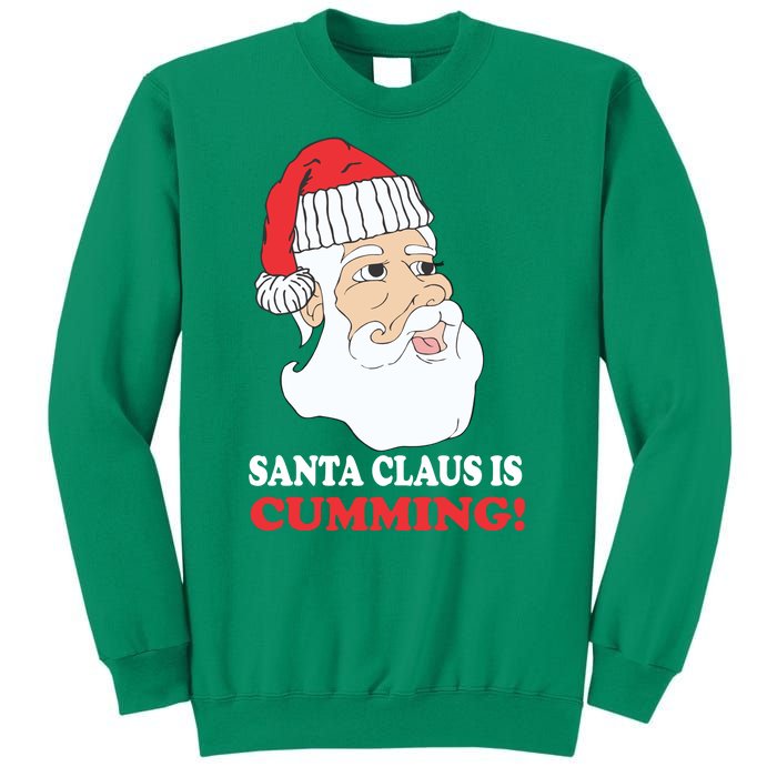 Santa Claus Is Cumming Dirty Humor Sweatshirt